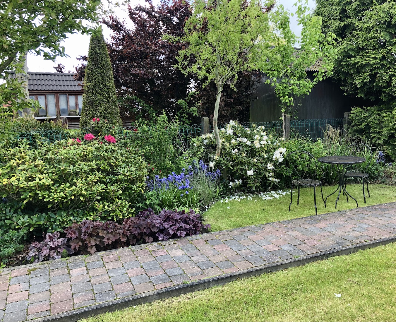 Border met planten in een tuin